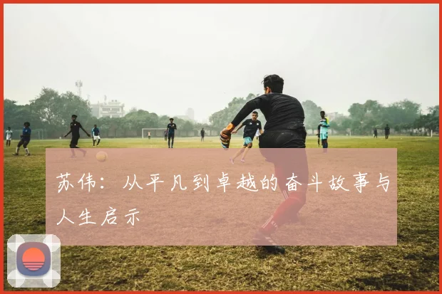 苏伟：从平凡到卓越的奋斗故事与人生启示