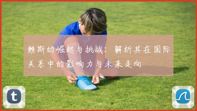 赖斯的崛起与挑战：解析其在国际关系中的影响力与未来走向